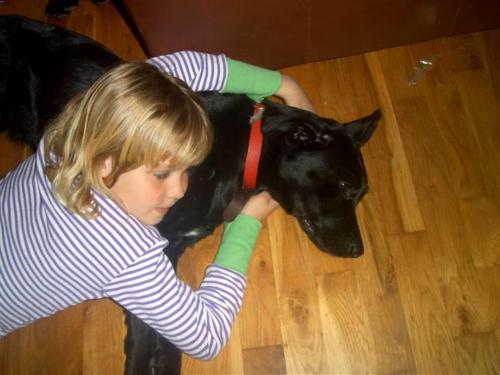 Blanding af racer Sussi - En lille middagssøvn er altid dejlig billede 9