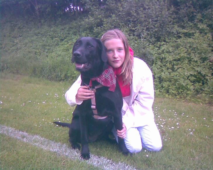 Blanding af racer | Sille | Tricks hunden** - Sille og Louise :) <3  billede 11