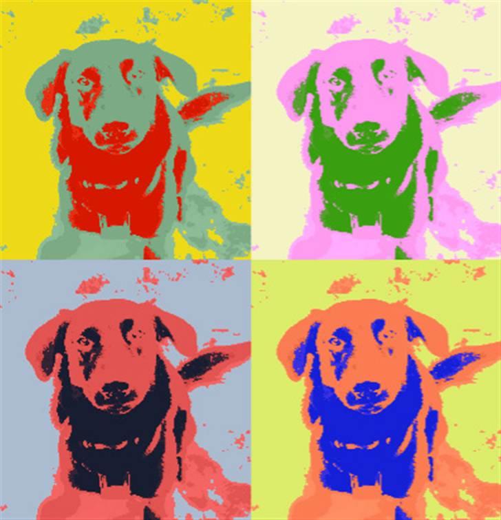 Blanding af racer Rollo R.I.P 19-02-09 - lavet af Malene T til Rollo billede 7
