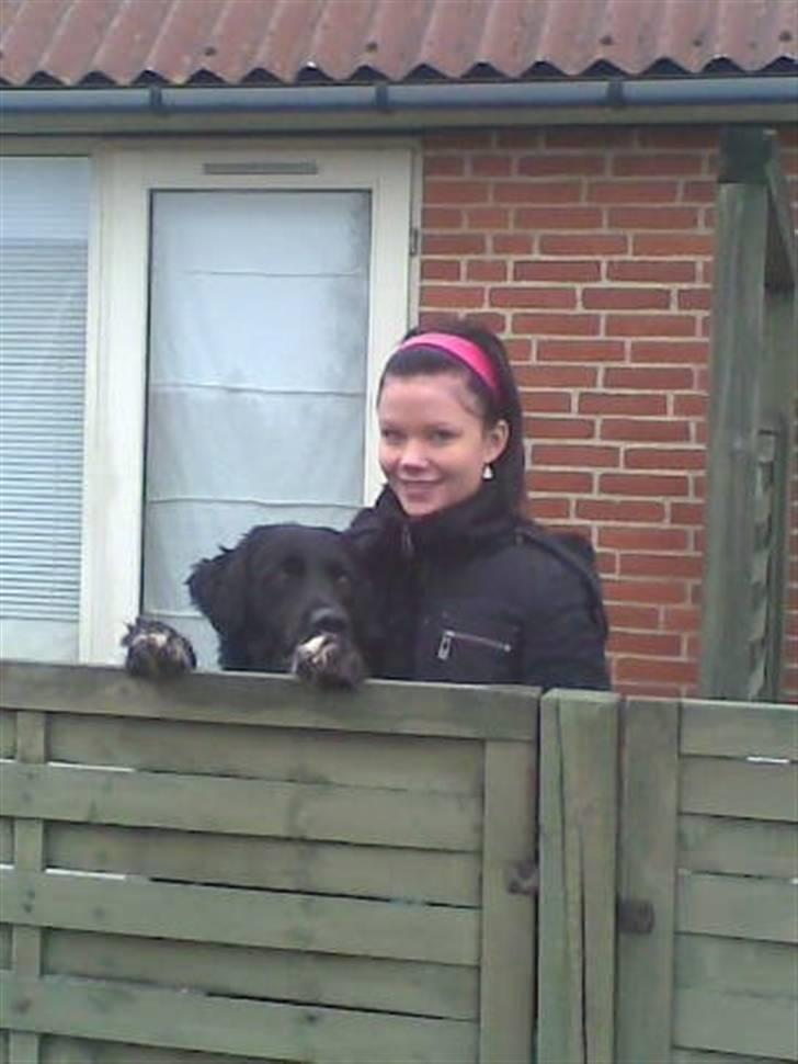 Blanding af racer Kenzo (Død) - Kenzo og min smukke kæreste :) billede 20