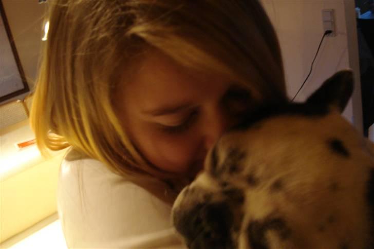 Fransk bulldog Gandorf  - Gandorf og mig  billede 10