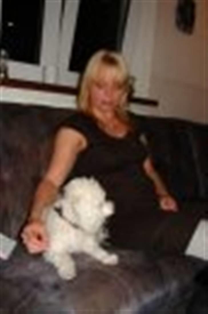 Toypuddel joker billede 3