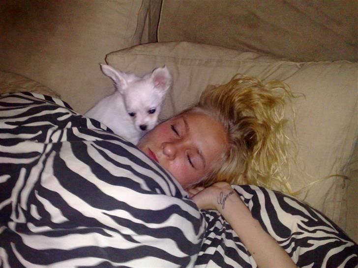 Blanding af racer Tonic Bennet - tonic med sin søster <3 billede 1