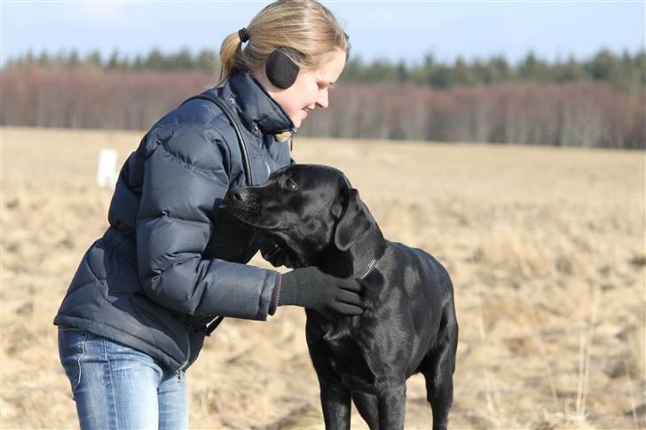 Labrador retriever Micki (Codys Der Mann) - 20/03 2011: Micki & jeg (TAS-Foto) billede 4