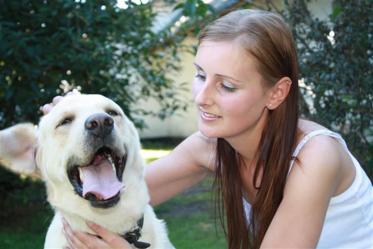 Blanding af racer Zacho - Zacho og jeg billede 2