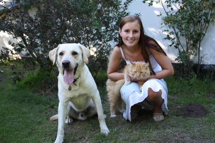 Blanding af racer Zacho billede 6