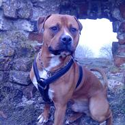 Blanding af racer Hero