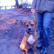 Blanding af racer Hero