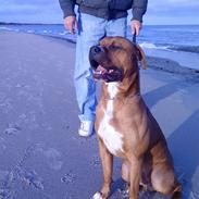 Blanding af racer Hero