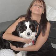 Border collie Coco E