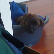 Blanding af racer gizmo