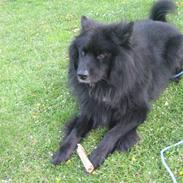 Blanding af racer Milas