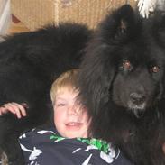 Blanding af racer Milas