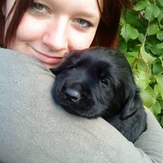 Blanding af racer Loulou