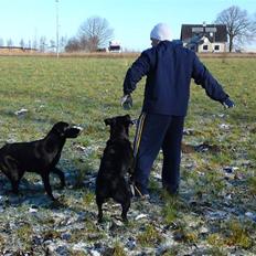 Blanding af racer gigi