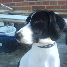 Blanding af racer BESSI 