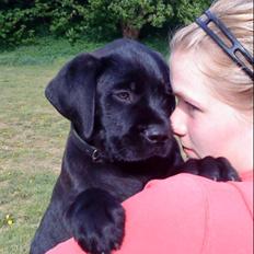 Blanding af racer Charlie