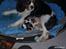 Cavalier king charles spaniel Gismo - Gismo´s mor Niemi´s Soffi og søskende -  gad vide om der er mad nok til alle?:)