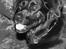 Blanding af racer Dixie RIP - Elsker det billede her