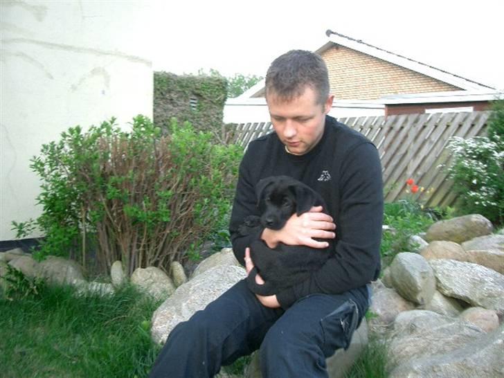 Blanding af racer Henning billede 17