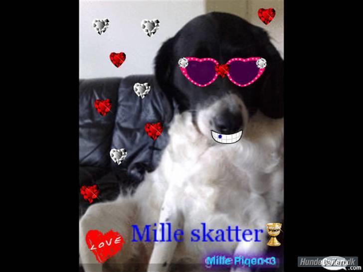 Blanding af racer Mille *En del af hjertet* - Dette billede er lavet af Mille´s "søster" xD tark Heidi <33  billede 9
