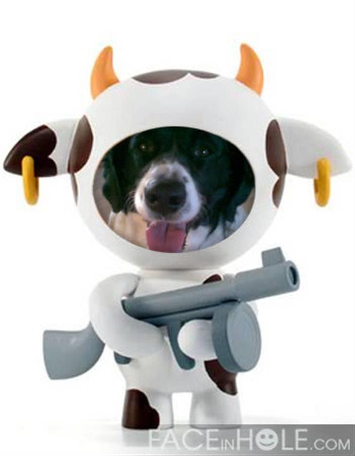 Blanding af racer Mille *En del af hjertet* - Her er hun så meget farlig ,, xD billede 12