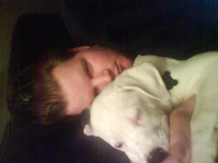 Amerikansk bulldog Coda  *solgt* - Min mand og coda billede 11