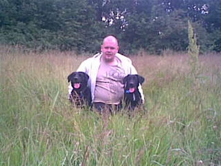 Blanding af racer gigi billede 8