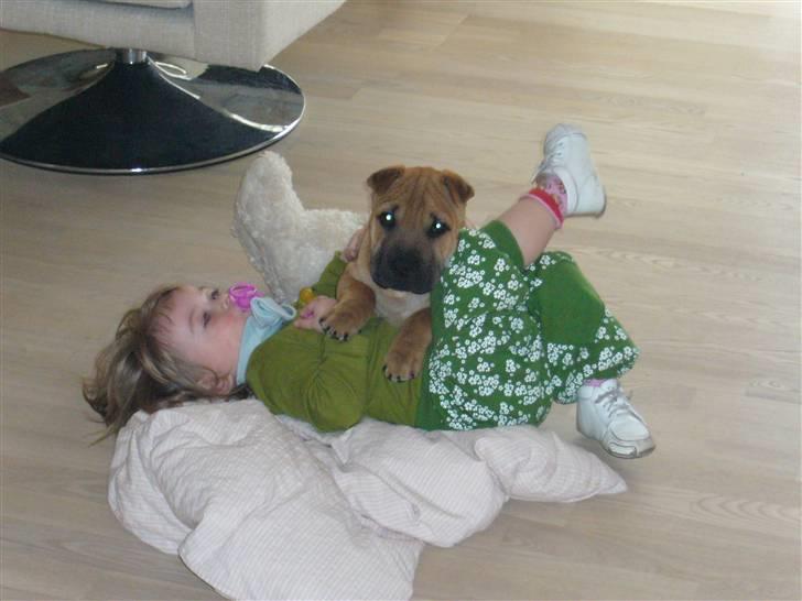 Blanding af racer Jumper - hyggetid.... billede 6