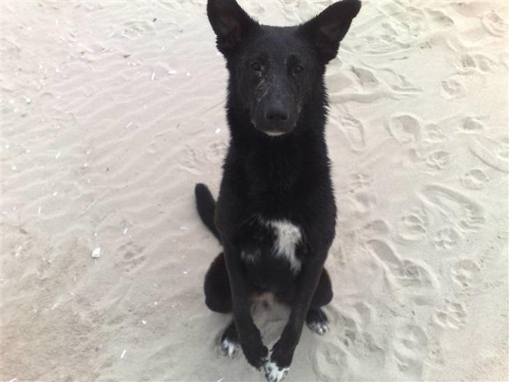 {{currentPhoto.altText}} billede {{currentPhoto.number}}