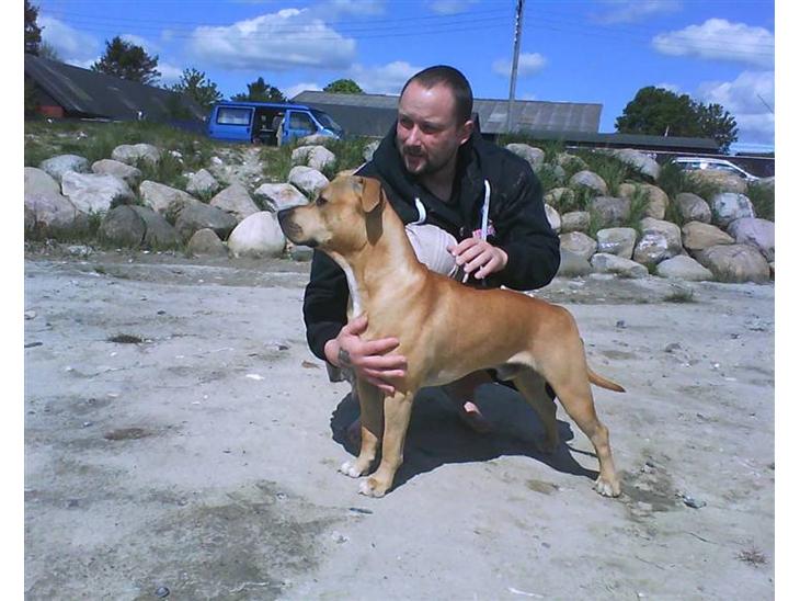 {{currentPhoto.altText}} billede {{currentPhoto.number}}