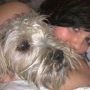 Blanding af racer Tilde