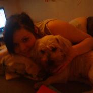 Blanding af racer Tilde