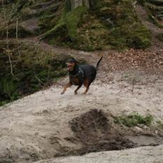 Blanding af racer Happy