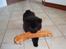 Chow chow Henning