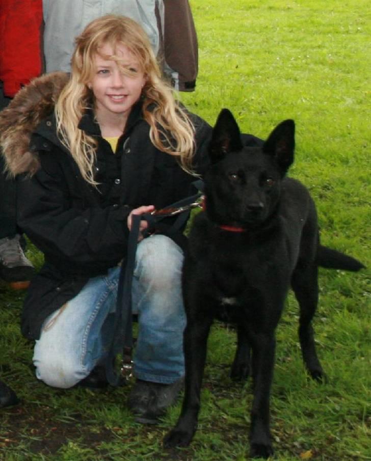 Australsk kelpie Sophie - Mig og Sophie på skovtur :D billede 3