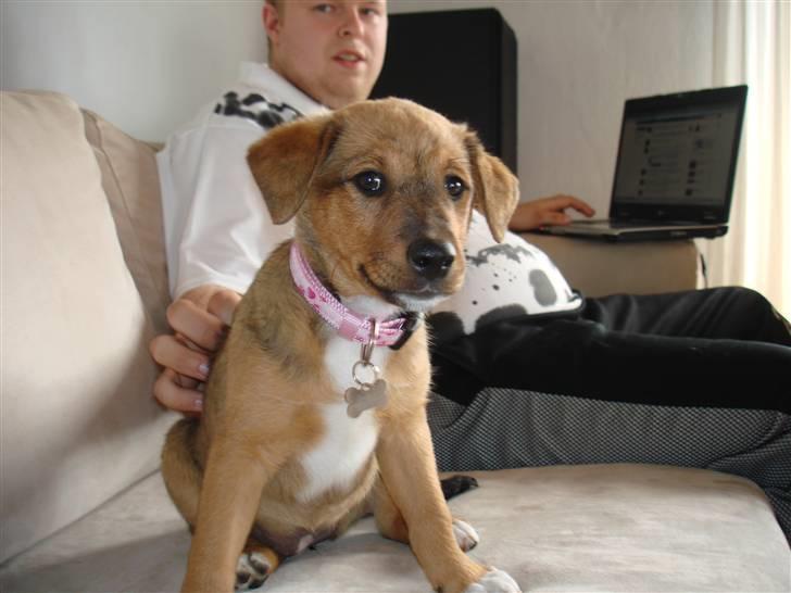 Blanding af racer R.I.P Holly billede 3