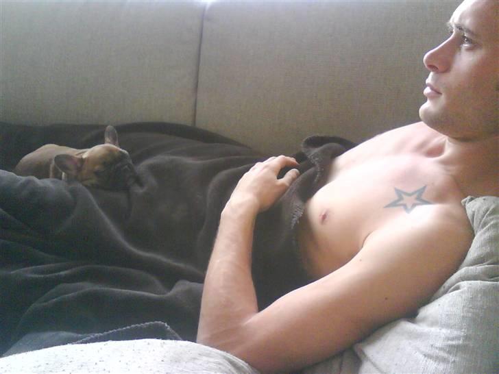 Fransk bulldog Oscar  - Putter lige i sofaen med far billede 13