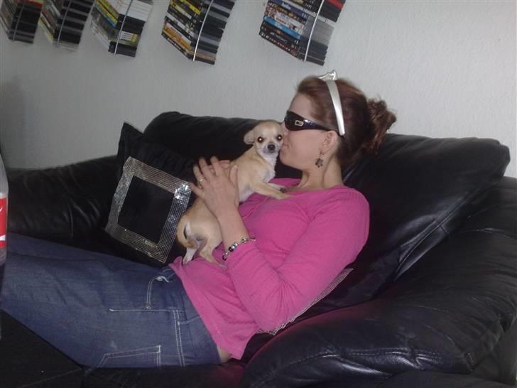 Chihuahua Rockey - Jaaa jeg ligger ved moar ;D billede 14
