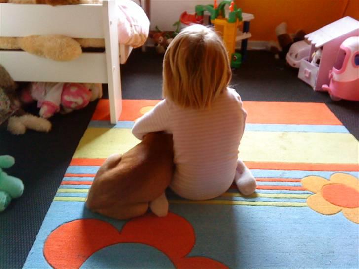 Bullmastiff Caya - Bedste venner for evigt! billede 10