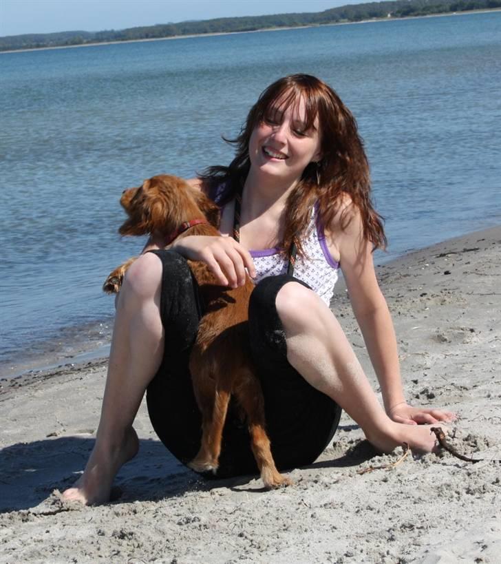 Cocker spaniel Tessa - Pigen og mig.. billede 7