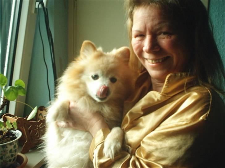 Mittelspitz Pussi    *DØD* billede 14