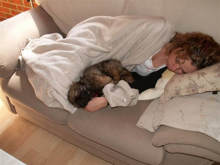 Blanding af racer Jackline R.I.P D.19/7-13 billede 28