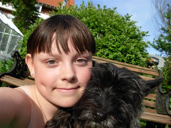 Cairn terrier Frida - hvor er vi bare søde sammen ! billede 8