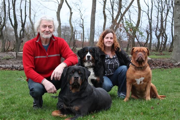 Rottweiler bacchus billede 4