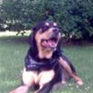 Blanding af racer Gustav