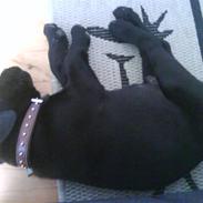 Blanding af racer Tyson