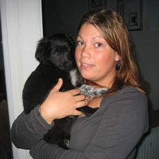 Blanding af racer Micko