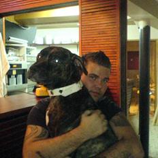 Amerikansk staffordshire terrier sui