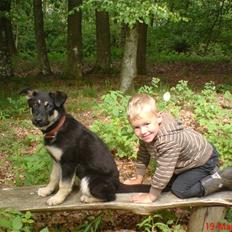 Blanding af racer Smilla